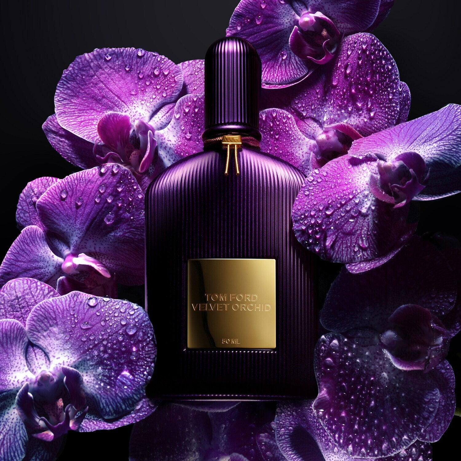 TOM FORD VELVET ORCHID (W) EDP 100ML - Dream Perfume